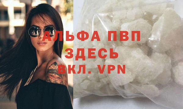 эйфоретик Баксан